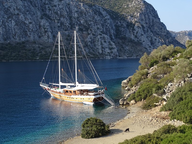 Best Blue Voyage - Zeiljacht Esinti